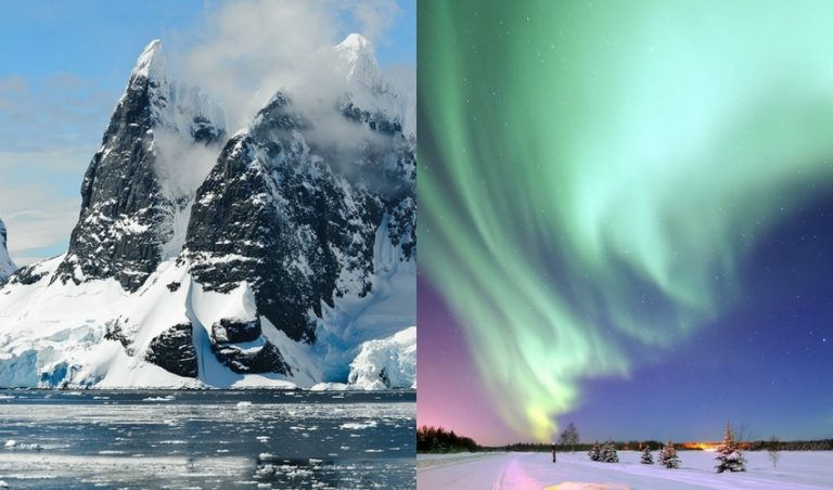 Diferencia Entre El Polo Norte Y El Polo Sur Que Diferencia 1729